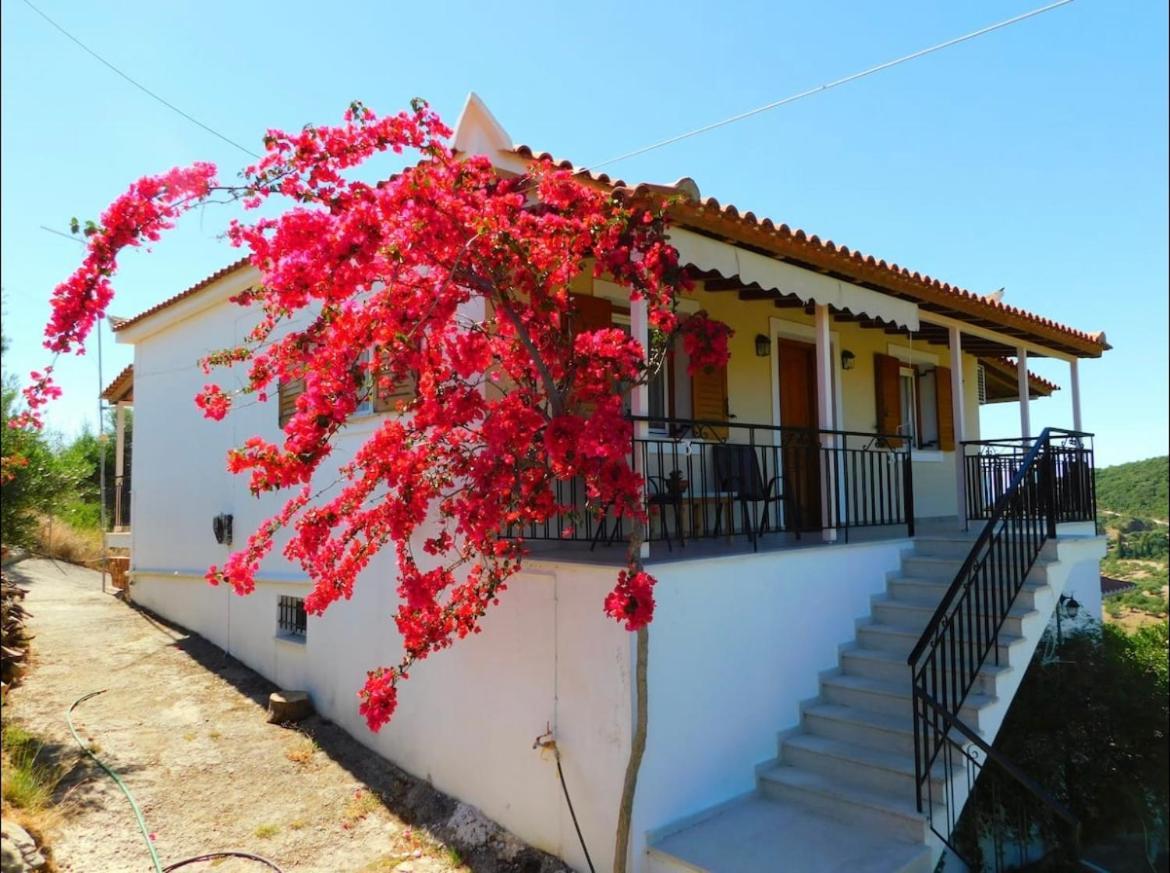 Nirvana Guest House Vasilítsion المظهر الخارجي الصورة